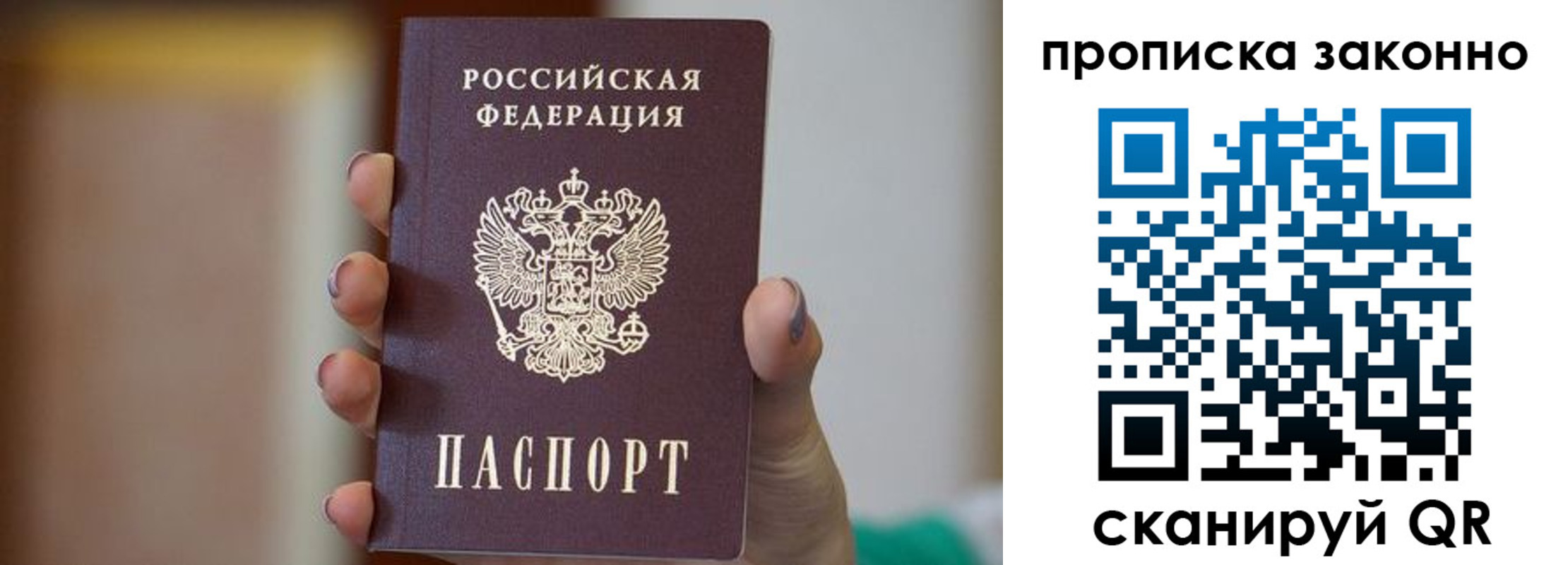 прописка в Ельне
