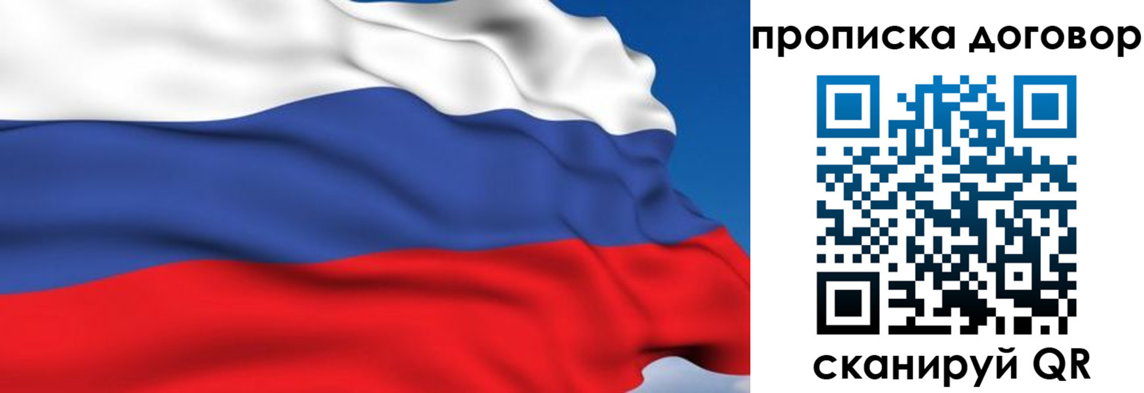 временная регистрация гарантия в Ельне